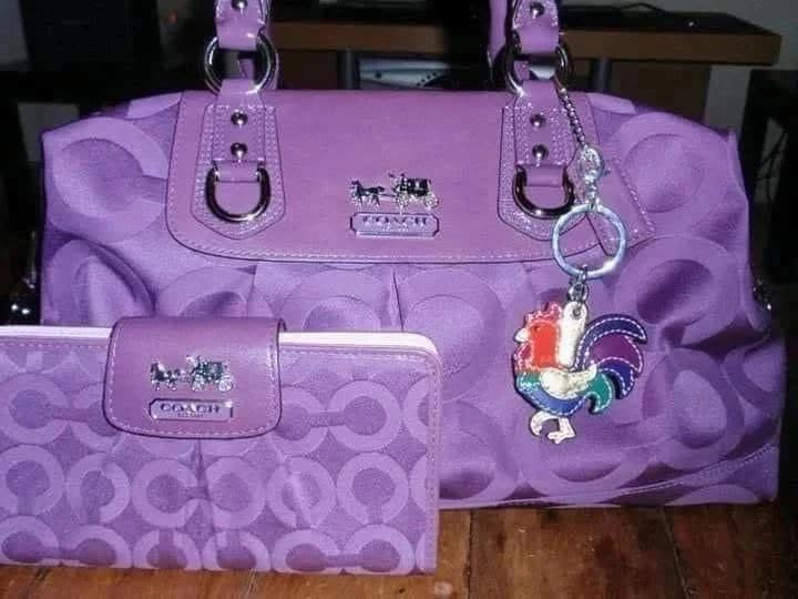 The Amazing Coach Purse Bag For You