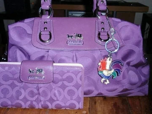 **🔥 The Amazing Coach Purse Bag For You🔥**